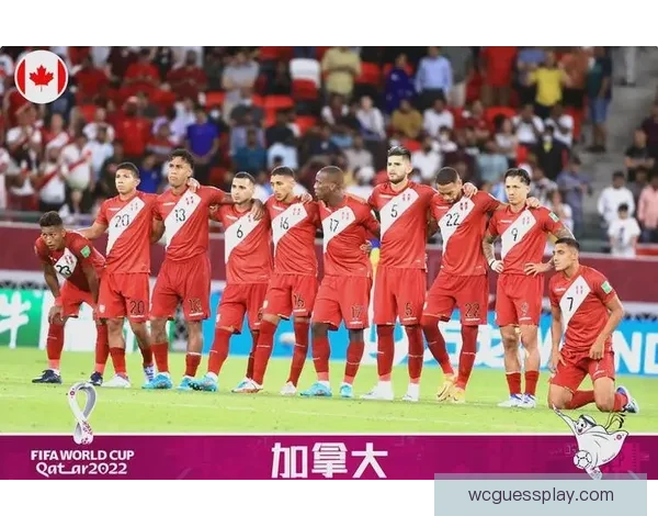 2026世界杯焦点球队全面盘点揭示夺冠热门与黑马潜力